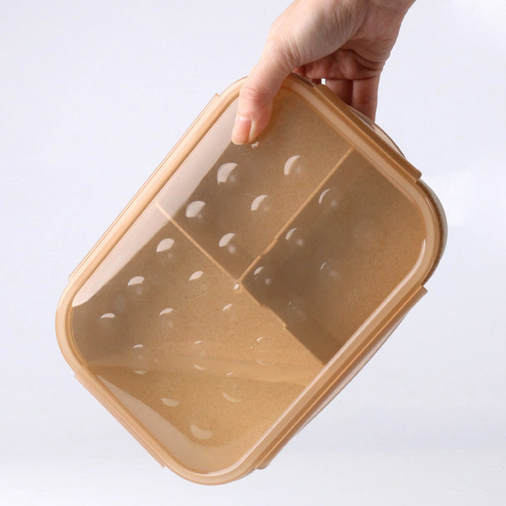 Wheat Straw Divided Lunch Box - Eco-Friendly Bento Box